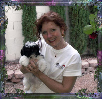 Dorothy & Hayden Imperial Shih Tzu