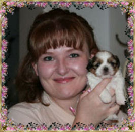 kim,imperial shih tzu breeder