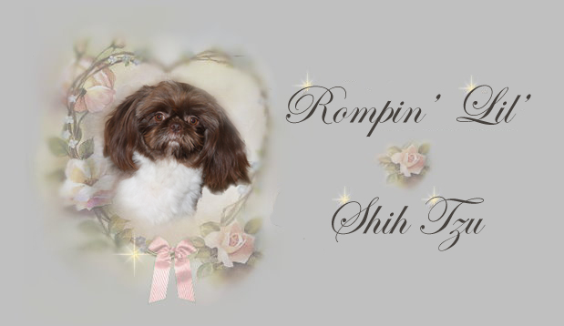 Tiny Imperial Shih Tzu Kirk pedigree