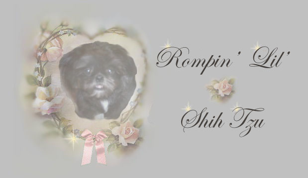 ashland imperial shih tzu female pedigree