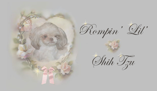 pedigree-cali Imperial Shih Tzu 