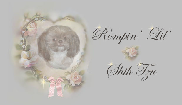 cheyenne imperial shih tzu pedigree